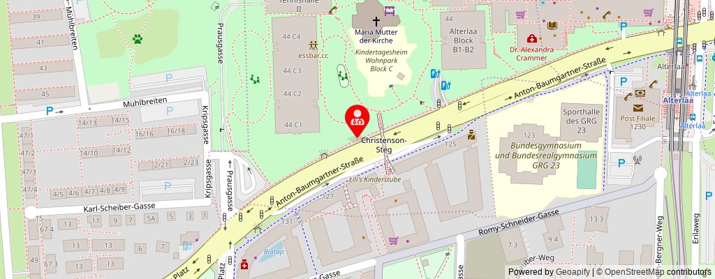 Street map section around the address
