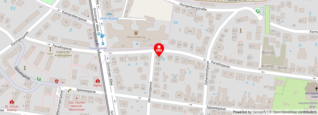 Street map section around the address